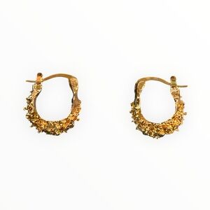 Elegant Gold Fashion Hoop Earrings